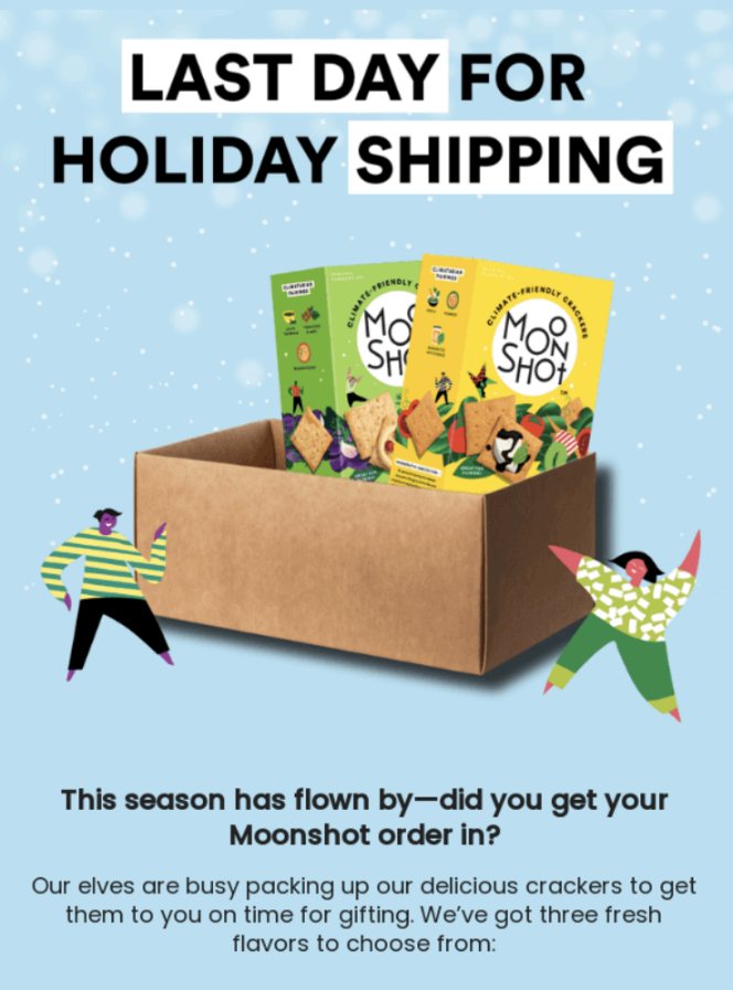 Green Monday newsletter example titled "Last day for holiday shipping"